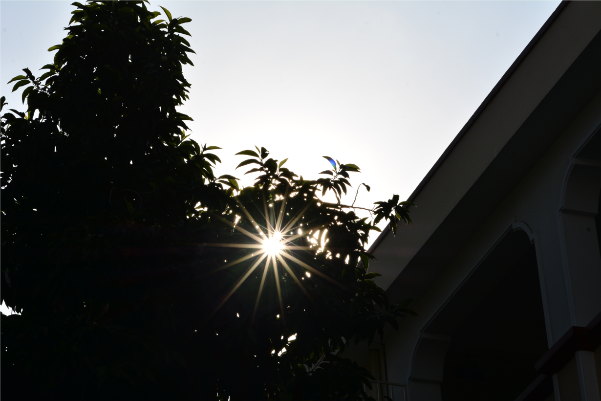 DSC_3037.JPG